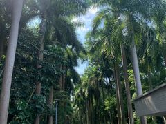 -广东茂名森林公园