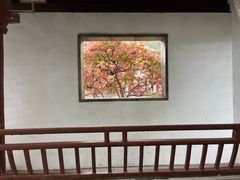 -秋霞圃
