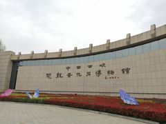 -中国西峡恐龙遗迹园