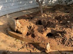 -石家庄市动物园