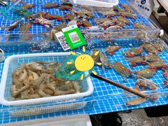 -济南海鲜大市场