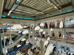 -乐蓬马歇百货公司(Rive Gauche)