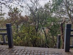 -紫金山山顶公园