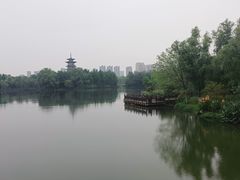 -洋湖国家湿地公园