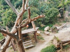 -宁波野生动物园