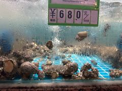 -美人鱼悬崖海景餐厅(鹿嘴山庄店)