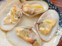 -矶野水产(澳门逸园中心店)
