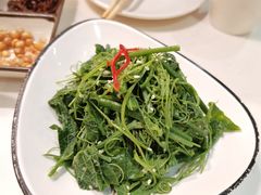 -火齐潮汕砂锅粥(五道口店)