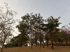 -白石龙音乐公园