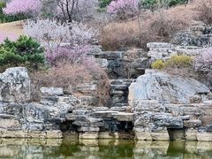 -北京西山国家森林公园