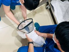 -宠福鑫动物医院(望京分院)