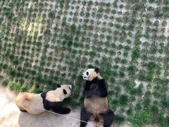 -西安秦岭野生动物园