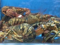 -港畔赶海蒸汽海鲜烧烤自助(仙螺岛店)