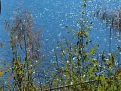 -孔雀湖生态旅游区