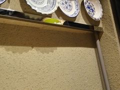 -清真·七祺祥面片手抓羊肉(瑞德店)