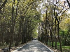 -同里国家湿地公园