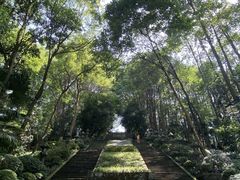 -忠山公园