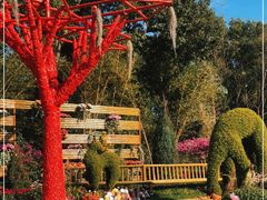 -上海共青森林公园