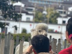 -舟山朱家尖绿城威斯汀度假酒店