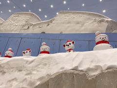-广州热雪奇迹