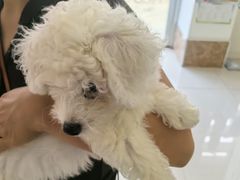 -美联众合24小时·皮肤科·外科·全科诊疗中心(华苑分院)
