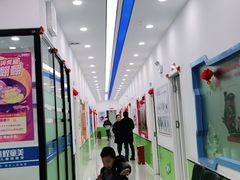 -童程童美·信息学竞赛·乐高机器人编程(昆明高新校区)