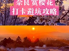 -奈良公园