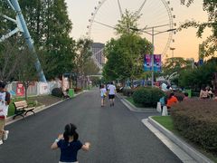 -锦江乐园舞狸花花游园会(夜场专享)
