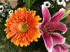 -阿生哥螺蛳粉•火锅(永安街店)