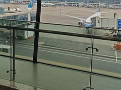 -郑州新郑国际机场T2航站楼-贵宾厅B区