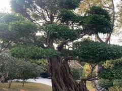 -荔枝公园(福田区)