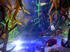 -沈阳海洋探索中心