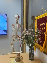 -颜和骨正·明哲式骨相美学整骨