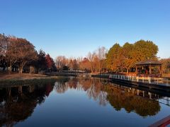 -同里国家湿地公园