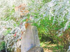 -中国茶叶博物馆(双峰馆区)