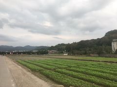 -古田会议纪念馆