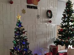 -ventus spa 沙巴亚庇正宗精油按摩会说