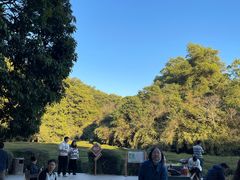 -大屏嶂森林公园