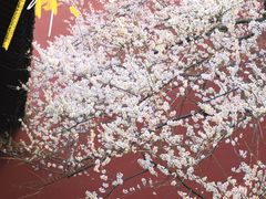 -钱王祠