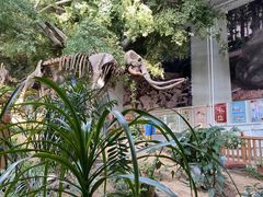-中国第四纪冰川遗迹陈列馆
