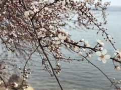 -丁香湖公园