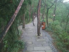-千岛湖天屿景区