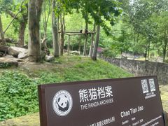 -都江堰中华大熊猫苑