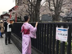 -东京浅草和服体验江户和装工房雅(浅草本店)