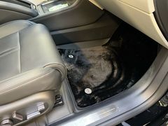 -利美特•威固V-KOOL双膜(杨浦授权店)