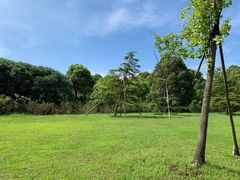 -吴淞炮台湾湿地森林公园烧烤区