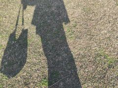 -大姆山草场