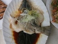 android_upload_pic-三圣花乡旅游区