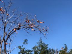 -香山公园-东宫门售票处