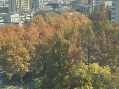 -杭州西湖湖滨银泰亚朵酒店